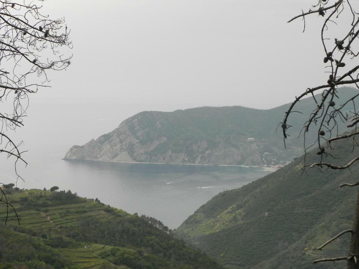 Ca Gialla De Drignana 베르나차 외부 사진