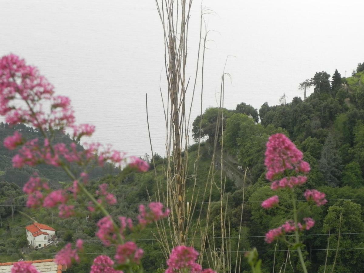 Ca Gialla De Drignana 베르나차 외부 사진